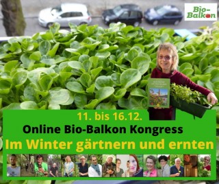 Im Winter gärtnern und ernten. Die 10 meistgesehenen Interviews zur SELBSTVERSORGUNG vom 4. Online Bio-Balkon Kongress